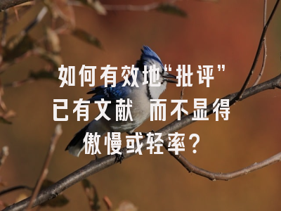 如何有效地“批评”已有文献 而不显得傲慢或轻率？