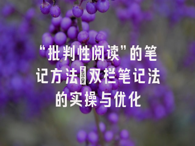 “批判性阅读”的笔记方法:双栏笔记法的实操与优化