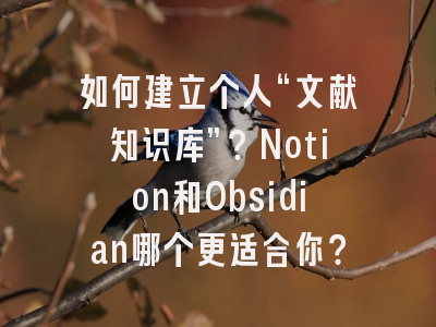 如何建立个人“文献知识库”?Notion和Obsidian哪个更适合你?