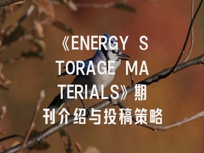 《ENERGY STORAGE MATERIALS》期刊介绍与投稿策略