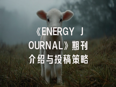 《ENERGY JOURNAL》期刊介绍与投稿策略