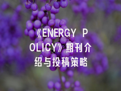 《ENERGY POLICY》期刊介绍与投稿策略