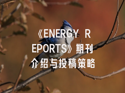 《ENERGY REPORTS》期刊介绍与投稿策略