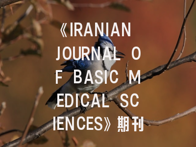 《IRANIAN JOURNAL OF BASIC MEDICAL SCIENCES》期刊介绍与投稿策略,iranian journal of radiology