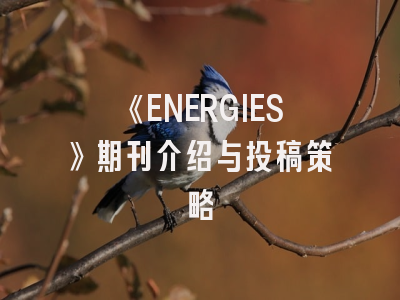 《ENERGIES》期刊介绍与投稿策略