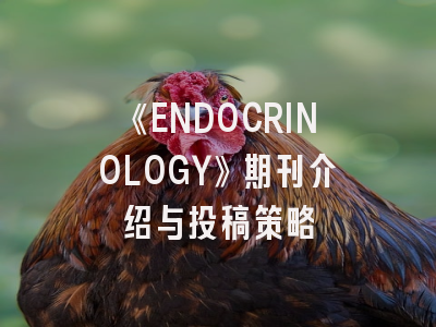 《ENDOCRINOLOGY》期刊介绍与投稿策略
