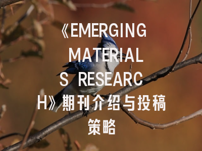 《EMERGING MATERIALS RESEARCH》期刊介绍与投稿策略