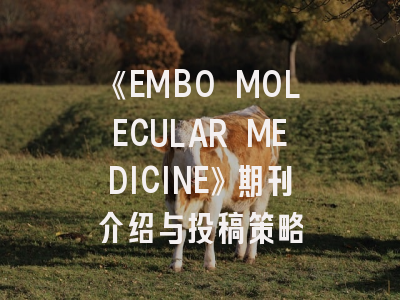 《EMBO MOLECULAR MEDICINE》期刊介绍与投稿策略