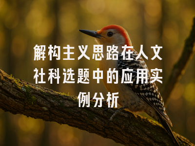 解构主义思路在人文社科选题中的应用实例分析
