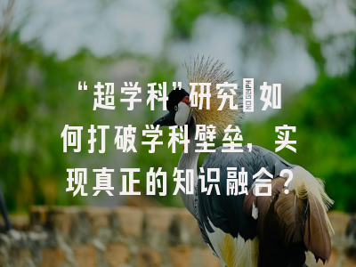 “超学科”研究：如何打破学科壁垒，实现真正的知识融合？