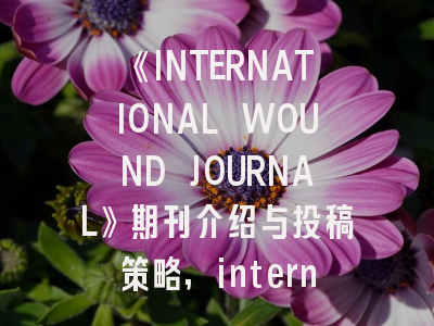 《INTERNATIONAL WOUND JOURNAL》期刊介绍与投稿策略,international journal of information