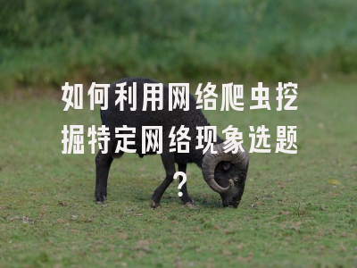 如何利用网络爬虫挖掘特定网络现象选题？