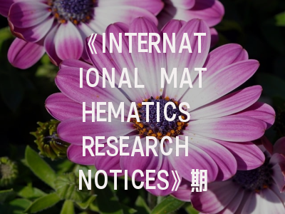 《INTERNATIONAL MATHEMATICS RESEARCH NOTICES》期刊介绍与投稿策略,mathematics letters期刊点评