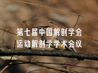 第七届中国解剖学会运动解剖学学术会议
