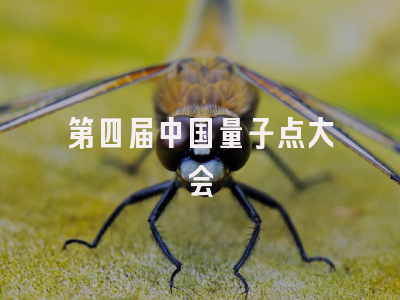 第四届中国量子点大会