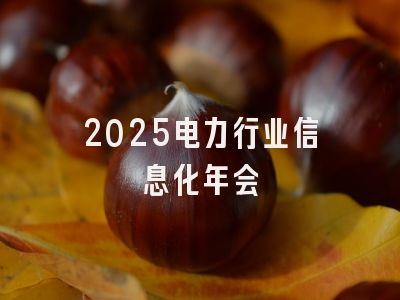 2025电力行业信息化年会