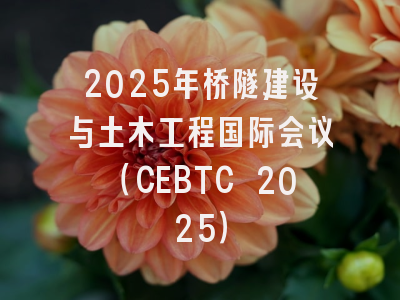 2025年桥隧建设与土木工程国际会议（CEBTC 2025）