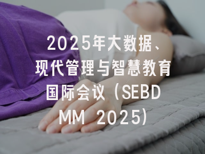 2025年大数据、现代管理与智慧教育国际会议(SEBDMM 2025)