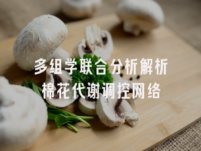 多组学联合分析解析棉花代谢调控网络