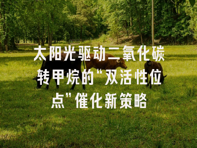 太阳光驱动二氧化碳转甲烷的“双活性位点”催化新策略