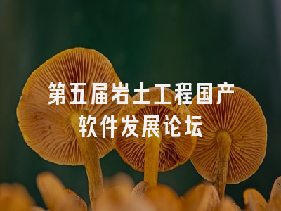 第五届岩土工程国产软件发展论坛