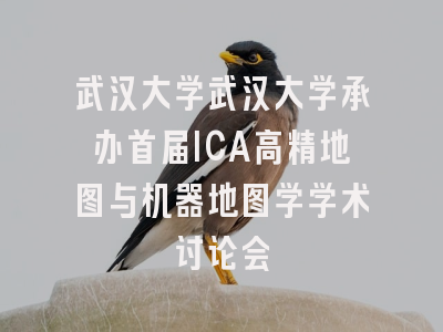 武汉大学武汉大学承办首届ICA高精地图与机器地图学学术讨论会