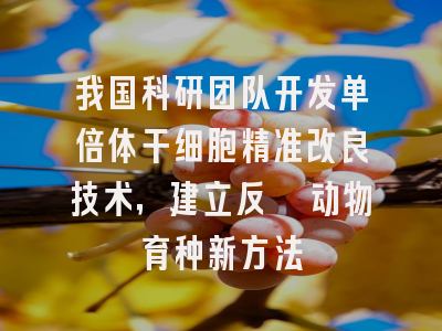 我国科研团队开发单倍体干细胞精准改良技术，建立反刍动物育种新方法
