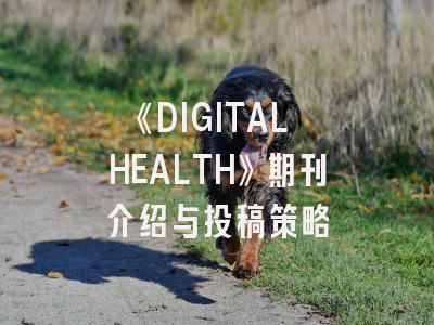 《DIGITAL HEALTH》期刊介绍与投稿策略