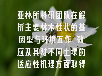 亚林所科研团队在解析主要林木性状的基因型与环境互作 效应及其对不同土壤的适应性机理方面取得新进展