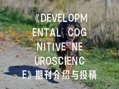《DEVELOPMENTAL COGNITIVE NEUROSCIENCE》期刊介绍与投稿策略