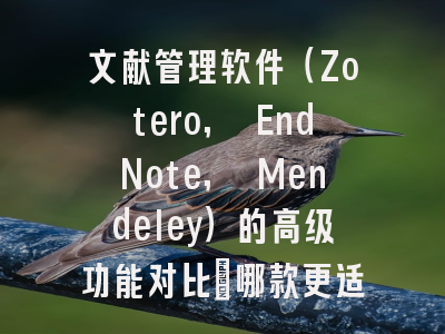 文献管理软件（Zotero, EndNote, Mendeley）的高级功能对比：哪款更适合学术达人？