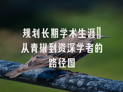 规划长期学术生涯：从青椒到资深学者的路径图