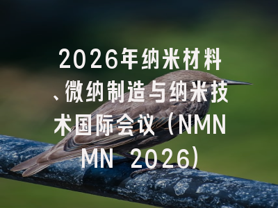 2026年纳米材料、微纳制造与纳米技术国际会议（NMNMN 2026）