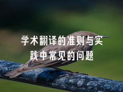 学术翻译的准则与实践中常见的问题