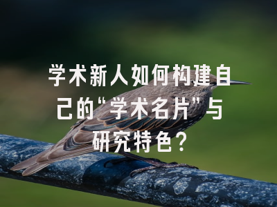 学术新人如何构建自己的“学术名片”与研究特色？
