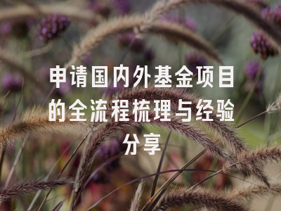 申请国内外基金项目的全流程梳理与经验分享