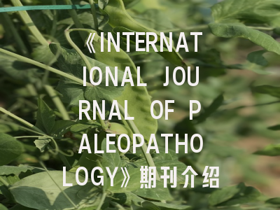 《INTERNATIONAL JOURNAL OF PALEOPATHOLOGY》期刊介绍与投稿策略,international journal of optics