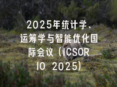 2025年统计学、运筹学与智能优化国际会议（ICSORIO 2025）