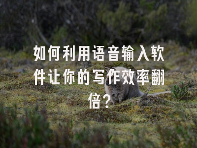 如何利用语音输入软件让你的写作效率翻倍？