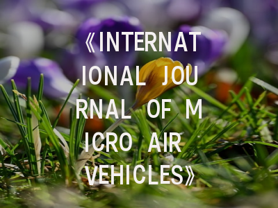 《INTERNATIONAL JOURNAL OF MICRO AIR VEHICLES》期刊介绍与投稿策略,international journal of oncology