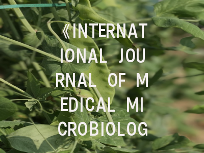 《INTERNATIONAL JOURNAL OF MEDICAL MICROBIOLOGY》期刊介绍与投稿策略,international journal of nanomedicine.