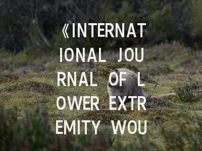 《INTERNATIONAL JOURNAL OF LOWER EXTREMITY WOUNDS》期刊介绍与投稿策略,journalofalloys andcomounds期刊