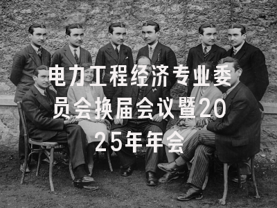 电力工程经济专业委员会换届会议暨2025年年会