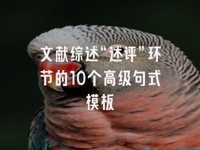 文献综述“述评”环节的10个高级句式模板