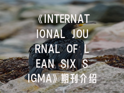 《INTERNATIONAL JOURNAL OF LEAN SIX SIGMA》期刊介绍与投稿策略,international journal of lexicography