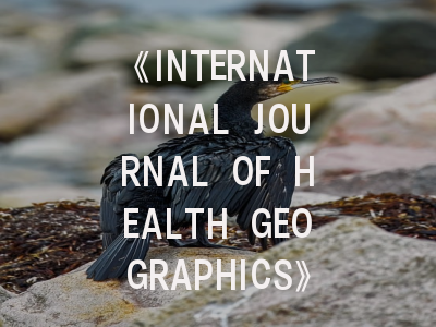 《INTERNATIONAL JOURNAL OF HEALTH GEOGRAPHICS》期刊介绍与投稿策略,international journal of geophysics