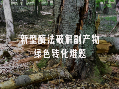 新型酶法破解副产物绿色转化难题