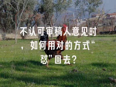 不认可审稿人意见时，如何用对的方式“怼”回去？