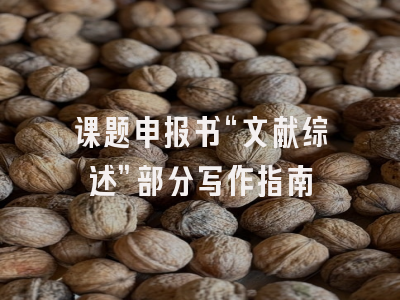 课题申报书“文献综述”部分写作指南