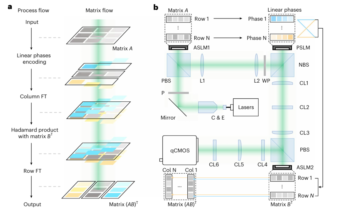 上海交通大学，Nature Photonics！